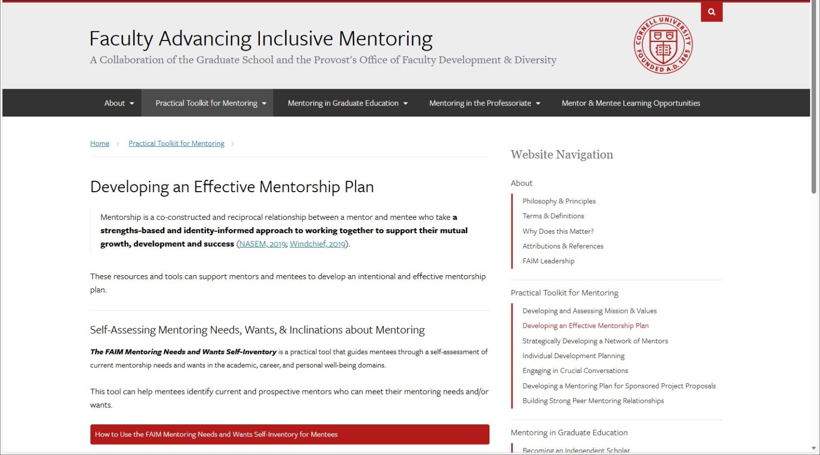 Developing an Effective Mentorship Plan