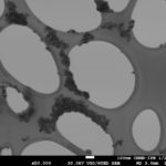 Immobilized Fe-doped TiO2 nanoparticles